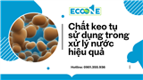 Hóa chất keo tụ sử dụng trong xử lý nước